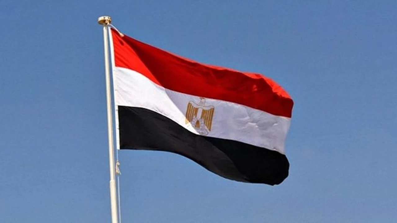 مصر تدعو مجلس حقوق الإنسان لتحقيق هدنة إنسانية في السودان